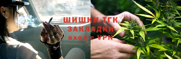 шишки Алексин