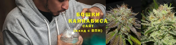 шишки Алексин