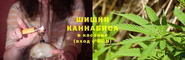 шишки Алексин