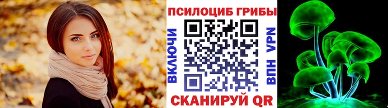 Псилоцибиновые грибы прущие грибы  Кореновск 