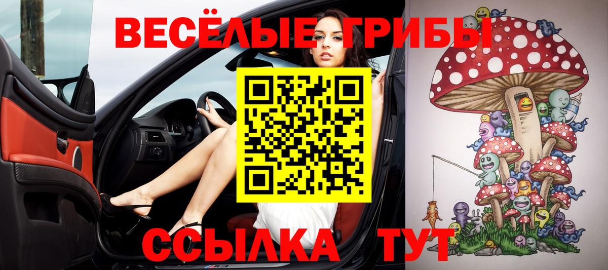 Псилоцибиновые грибы Psilocybine cubensis  Вход с VPN  Кореновск 