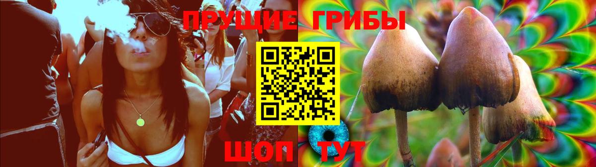 Галлюциногенные грибы Cubensis Кореновск
